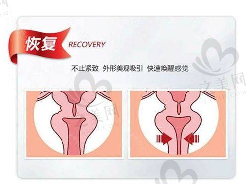收费标准参考
