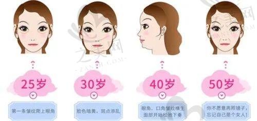 特色项目及技术优势