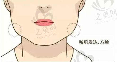 特色项目及技术优势