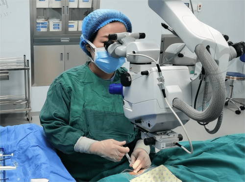 耿英云医生价格表