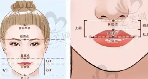 其他项目体验对比