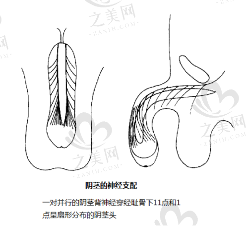 高尚医学美容中 心余文林预约挂号