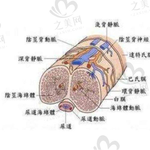 医院其他项目评价