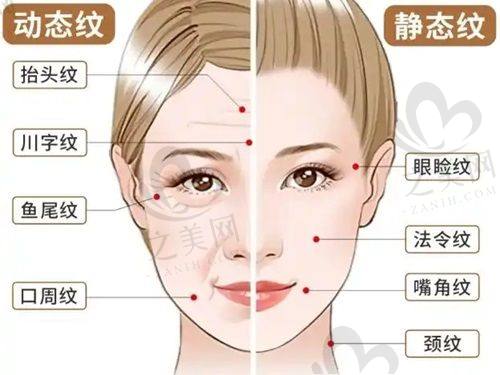 收费价格情况