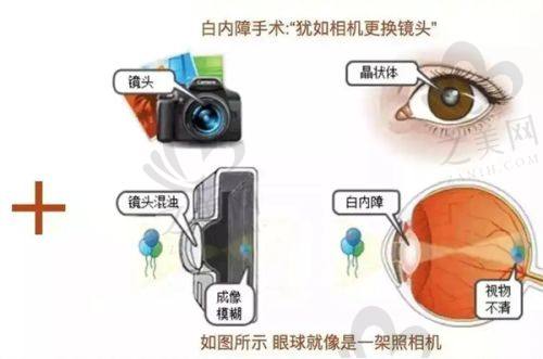 国内享受韩国磨骨技术途径