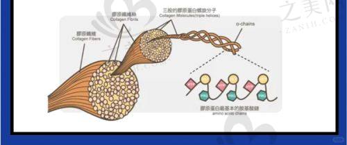 行业内的对比情况