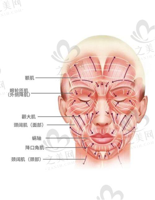 国内拉皮手术医生排名前十强公布!穆宝安、李晓东、杨大平连续多年稳居 top3
