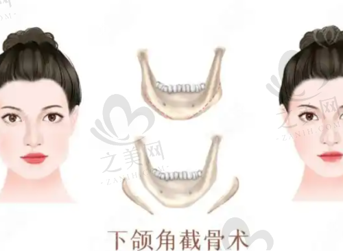口碑评价是否良好