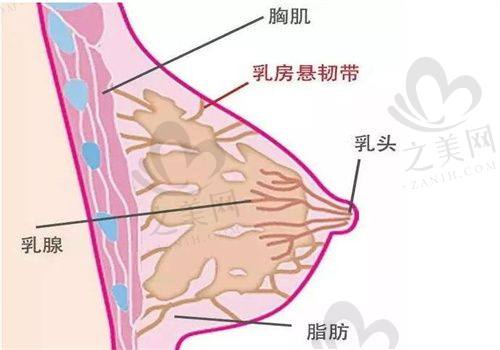透明服务流程