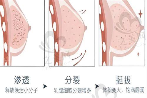 选择贵阳惺悦的原因