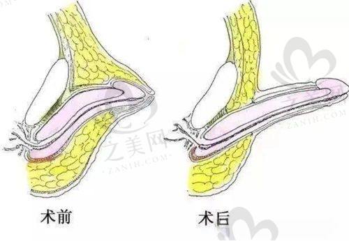 李世荣医生简介