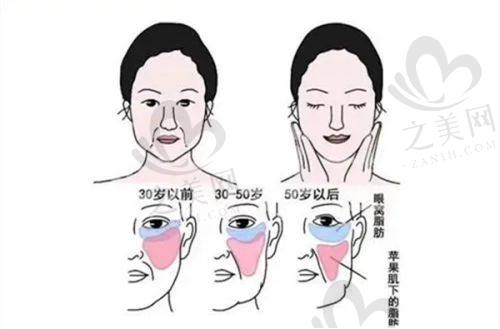 医院的服务项目