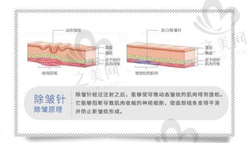 南通康美美容医院医生团队
