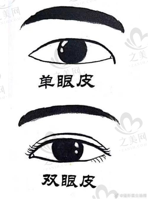 术后修复情况