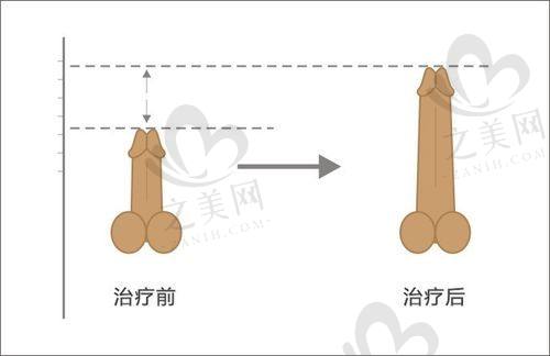 口碑评价