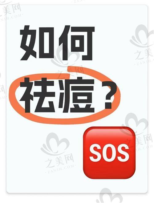 项目体验流程