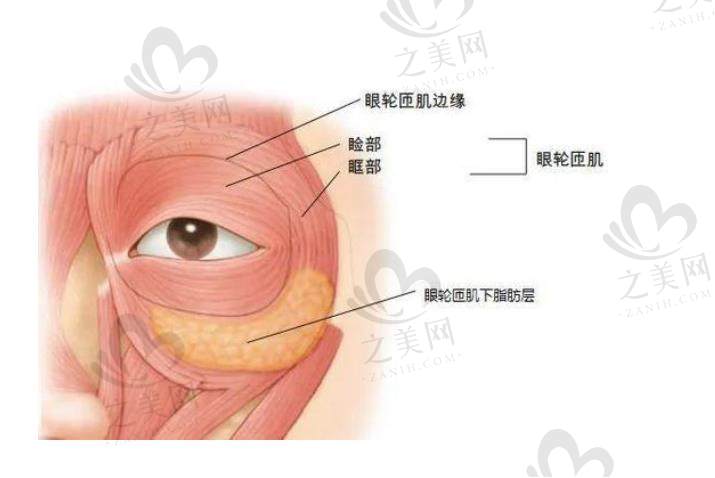 上海杜园园、沈国雄、朱迪与北京王博谦等眼修复专家,擅长问题、案例、技术及收费全揭秘