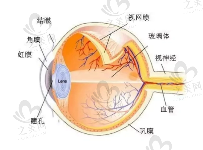 乌鲁木齐普瑞眼科医院全攻略:天山区青年路333号地址揭秘,项目价格及与麦迪格对比分析