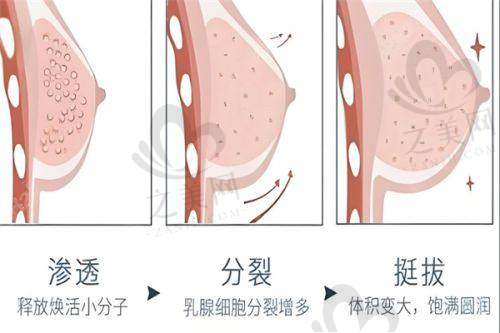 医院正规性有保护