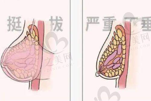 患者评价与口碑良好