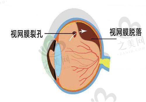 现场预约挂号