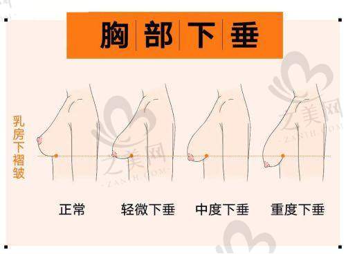 与其他医美机构对比