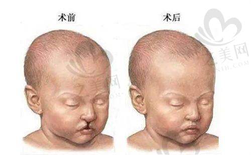 医生团队情况