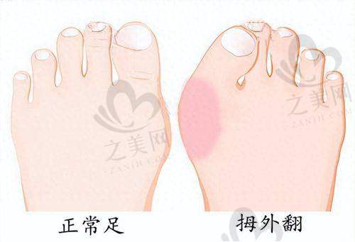 医院资质与诚信标准