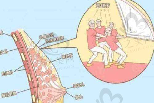 广州韩妃整形医院杨熙雯运用这两项技术的收费情况