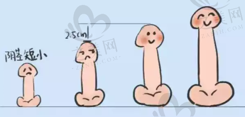 项目价格情况