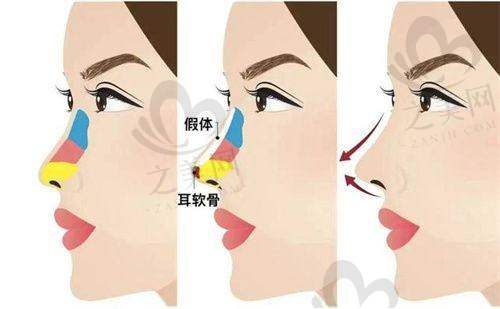 医生团队介绍