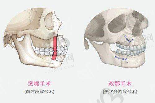 北海美秀中禾的靠谱之处