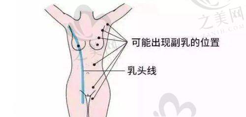 顾客口碑