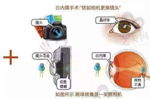 普宁安琪医院整形科擅长项目