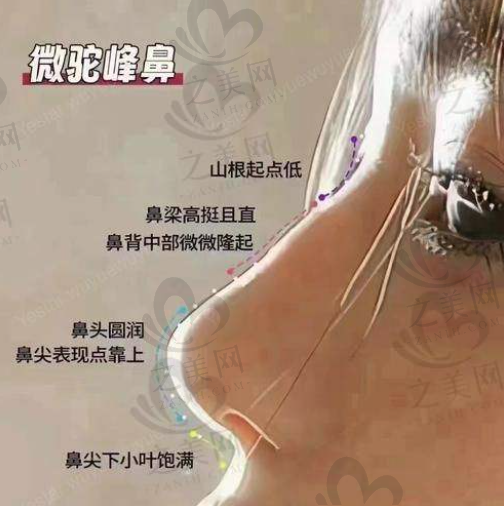 青岛做鼻子手术大概多少钱?华韩整形排名咋样?王建宇、储刚、武伟亮做鼻子不错