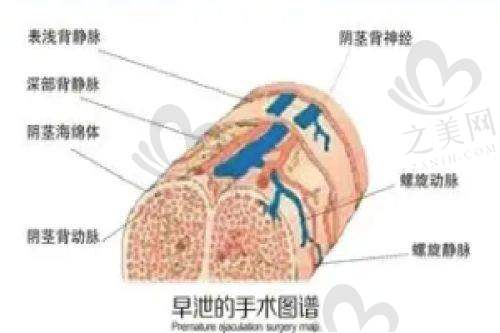 三、正颌手术项目价格与优势