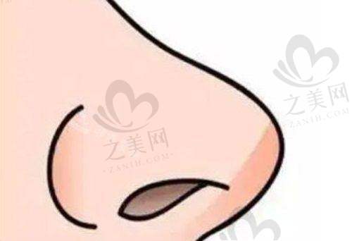 总结