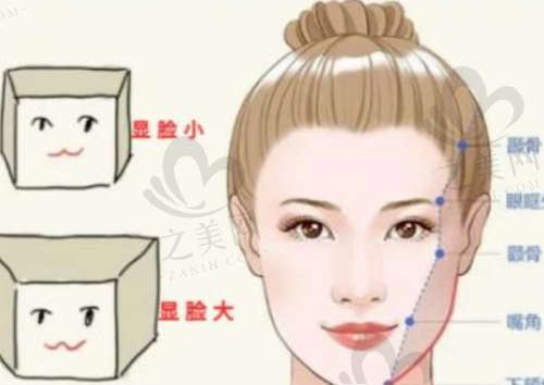 面部超声炮价格