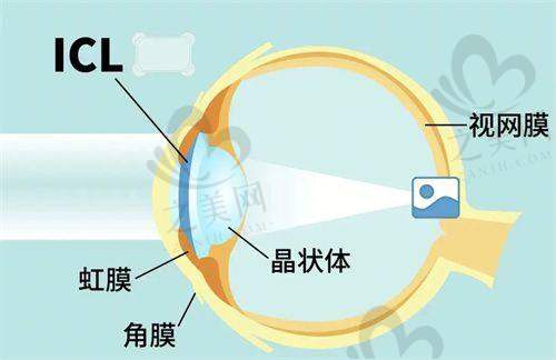 预约挂号与流程