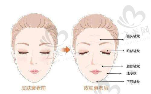 收费价格