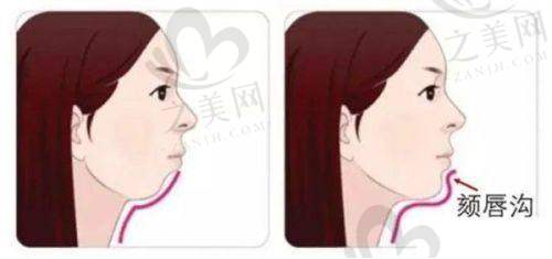 收费价格