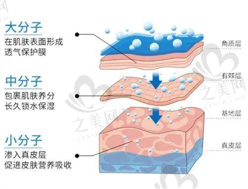 哈尔滨十大美容医院概况