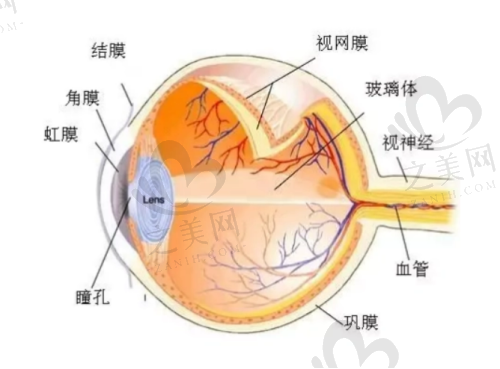 合肥市第二眼科历史悠久