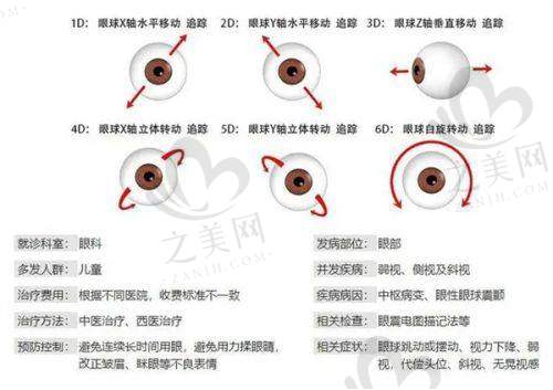 综合选择建议