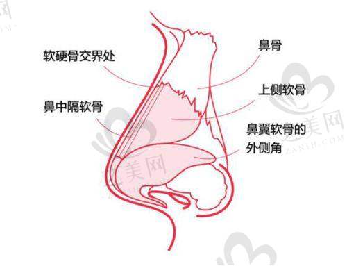 厦门其他有名美容医院特色