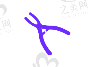 行业对比:优势显著,独具特色