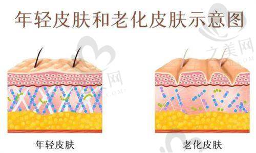 北京嘉禾整形医院优势体现