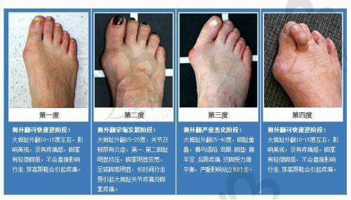 擅长项目介绍