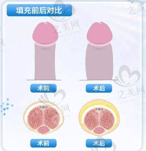 项目与价格