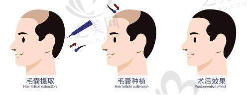 开设项目情况